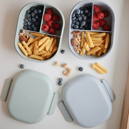 Compartment Lunchbox
