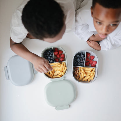 Compartment Lunchbox