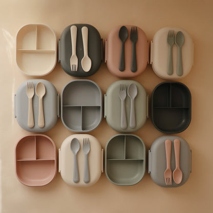 Compartment Lunchbox