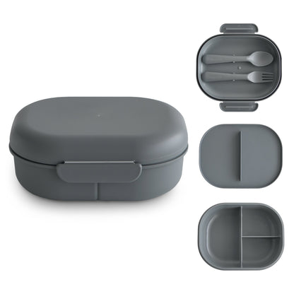 Compartment Lunchbox