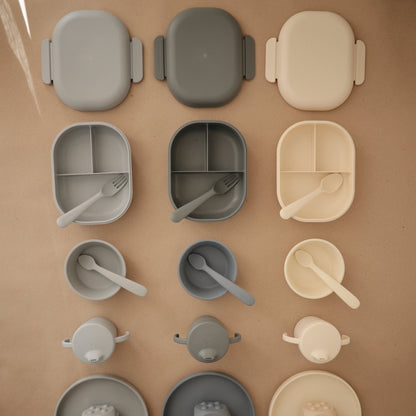 Compartment Lunchbox